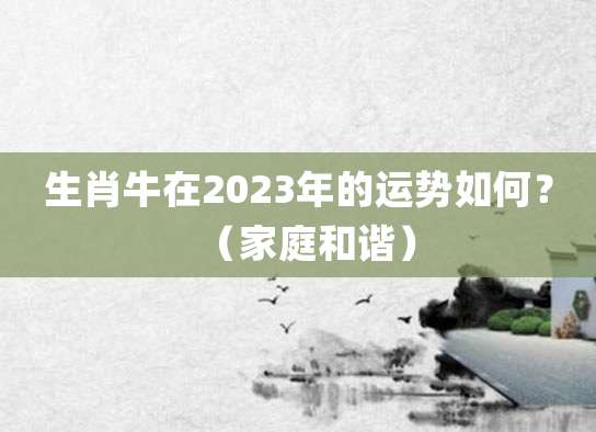 生肖牛在2023年上半年的运势如何?(家庭和谐)