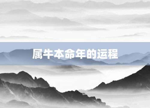 属牛本命年的运程