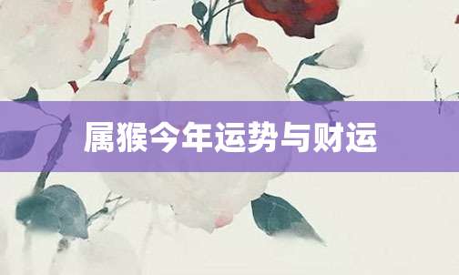 属猴今年运势与财运