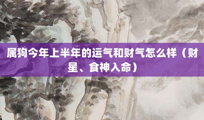 属狗今年上半年的运气和财气怎么样(财星、食神入命)