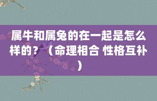 属牛和属兔的在一起是怎么样的?(命理相合 性格互补)