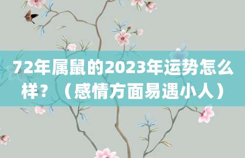 72年属鼠的2023年运势怎么样?(感情方面易遇小人)