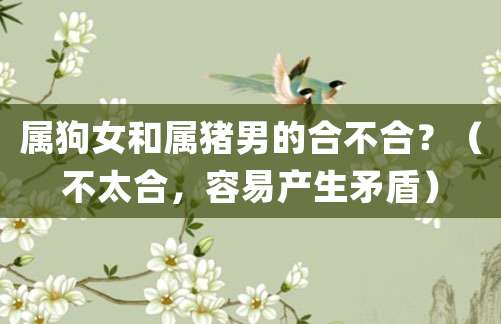属狗女和属猪男的合不合?(不太合,容易产生矛盾)