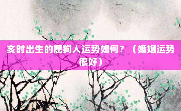 亥时出生的属狗人运势如何?(婚姻运势很好)