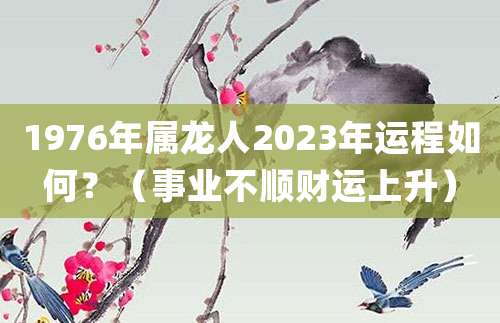 1976年属龙男生2023年运程如何?(事业不顺财运上升)