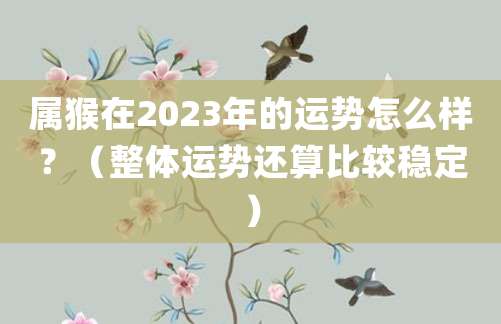 属猴在2023年下半年的运势怎么样?(整体运势还算比较稳定)