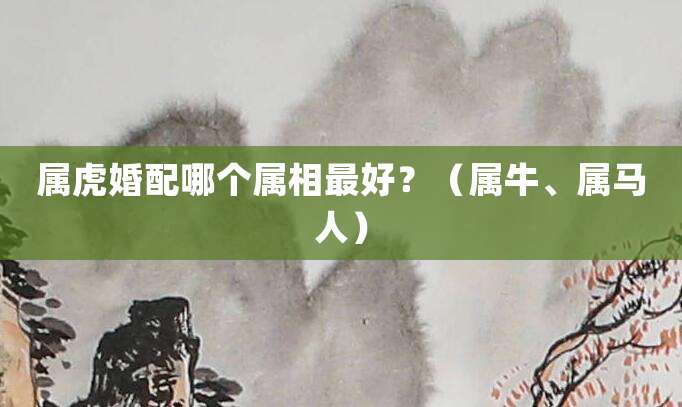 属虎婚配哪个属相最好?(属牛、属马人)