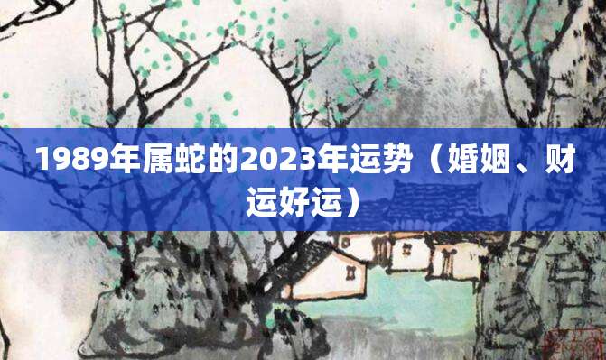 1989年属蛇的2023年运势(婚姻、财运好运)