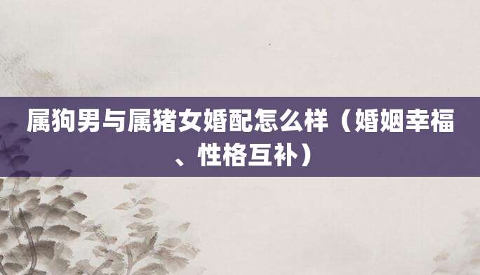 属狗男与属猪女婚配怎么样(婚姻幸福、性格互补)