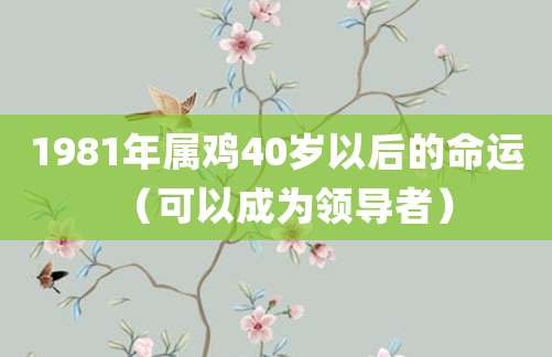 1981年属鸡40岁以后的命运(可以成为领导者)