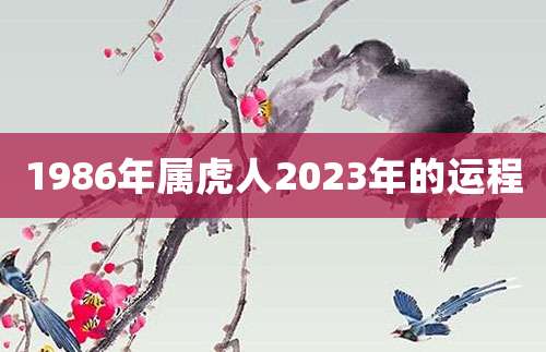 1986年属虎人2023年的财运会好吗?