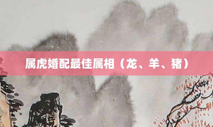 属虎婚配最佳属相(龙、羊、猪)