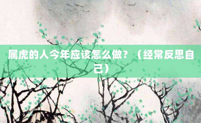 属虎的人今年应该怎么做?(经常反思自己)