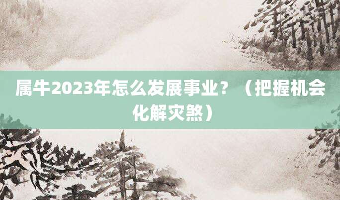 属牛2023年怎么发展事业?(把握机会 化解灾煞)
