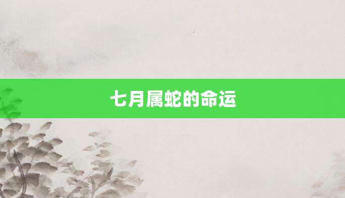 七月属蛇的命运