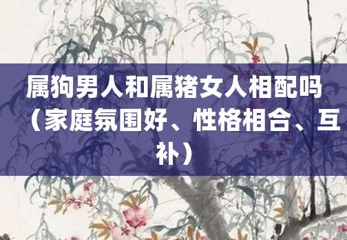 属狗男人和属猪女人相配吗(家庭氛围好、性格相合、互补)