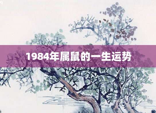 1984年属鼠的一生运势