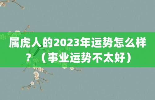 属虎人的2023年运势怎么样?(事业运势不太好)