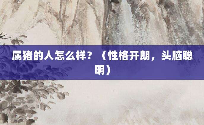 属猪的人怎么样?(性格开朗,头脑聪明)