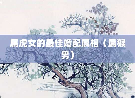 属虎女的最佳婚配属相(属猴男)