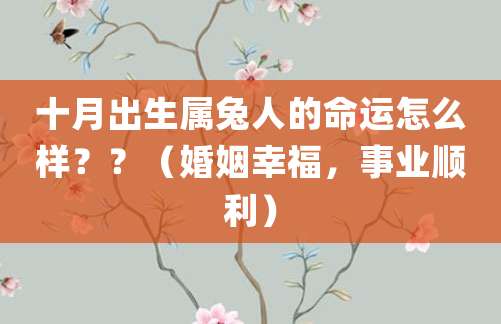 十月出生属兔人的命运怎么样??(婚姻幸福,事业顺利)