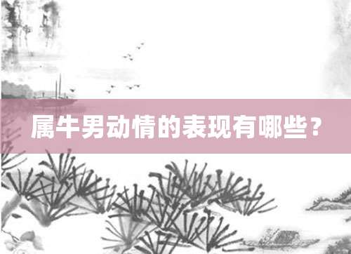 属牛男动情的表现有哪些?