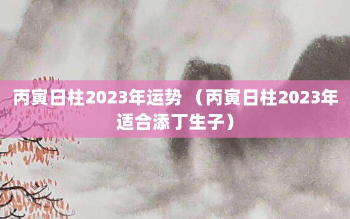 丙寅日柱2023年运势 (丙寅日柱2023年适合添丁生子)