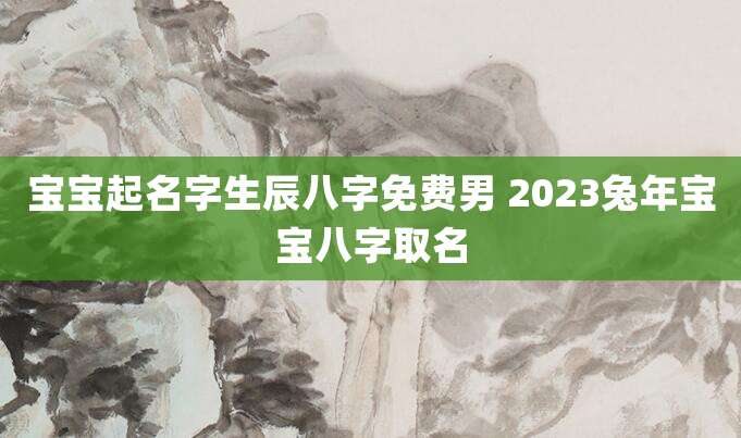 宝宝起名字生辰八字免费男 2023兔年宝宝八字取名