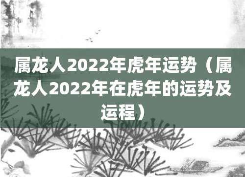 属龙人2022年虎年运势(属龙人2022年在虎年的运势及运程)