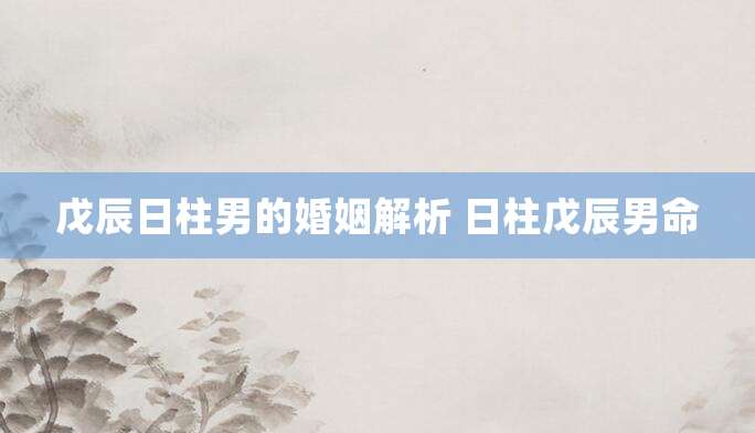 戊辰日柱男的婚姻解析 日柱戊辰男命
