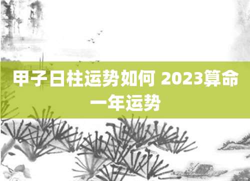 甲子日柱运势如何 2023算命一年运势