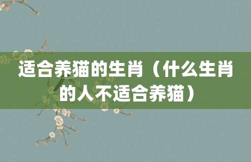 适合养猫的生肖(什么生肖的人不适合养猫)