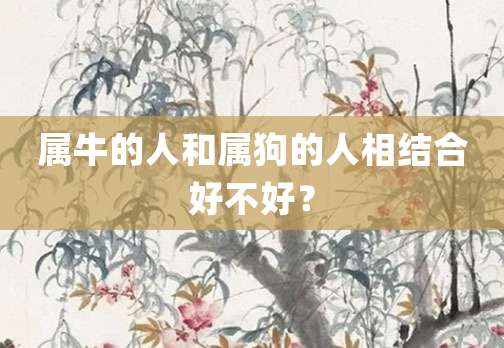 属牛的人和属狗的人相结合好不好?