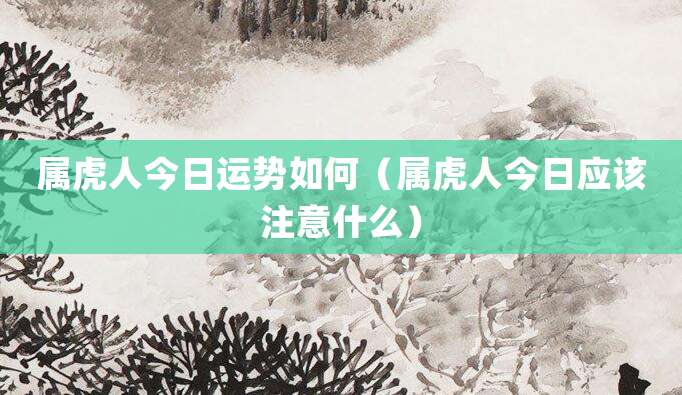 属虎人今日运势如何(属虎人今日应该注意什么)