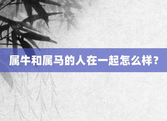 属牛和属马的人在一起怎么样?(在一起两个人都很爱对方)