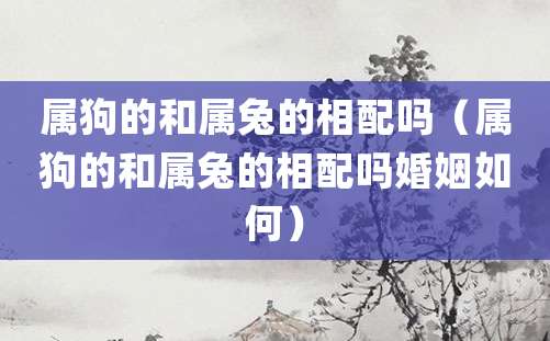 属狗的和属兔的相配吗(属狗的和属兔的婚姻如何)