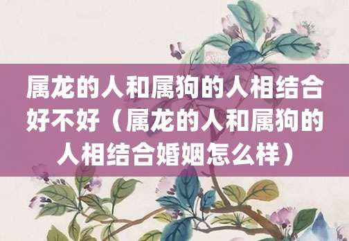 属龙的人和属狗的人相结合好不好(属龙的人和属狗的人相结合婚姻怎么样)