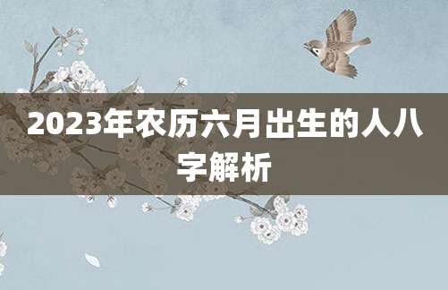 2023年农历六月出生的人八字解析