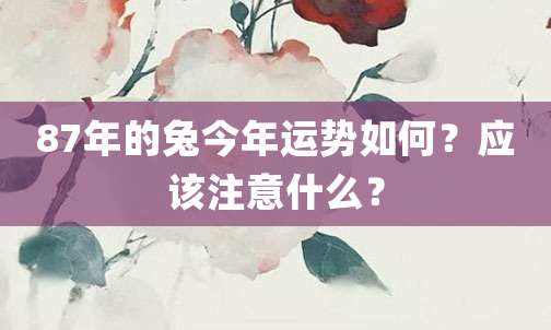 87年的兔今年运势如何?应该注意什么?