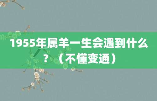 1955年属羊一生会遇到什么？（不懂变通）
