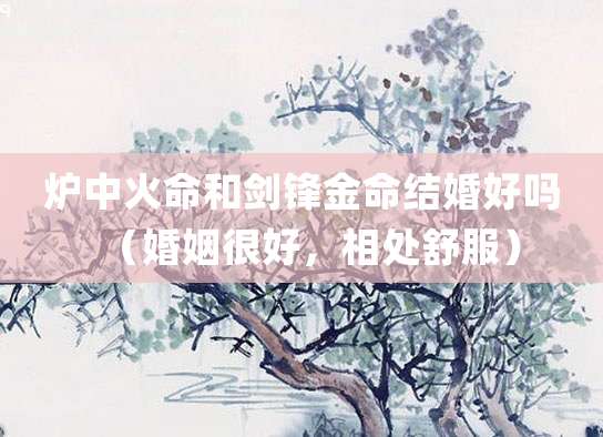 炉中火命和剑锋金命结婚好吗(婚姻很好,相处舒服)