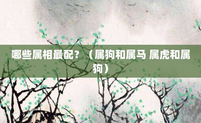 哪些生肖属相最相配？（属狗和属马 属虎和属狗）