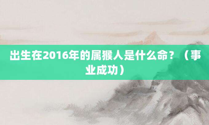 出生在2016年的属猴人是什么命?(事业成功)