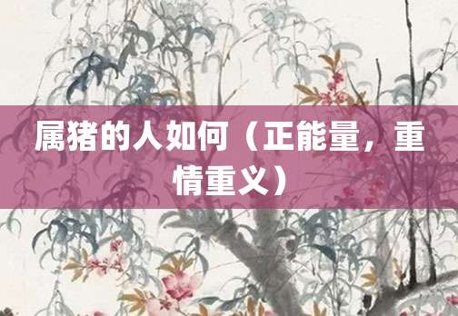 属猪的人如何（正能量，重情重义）