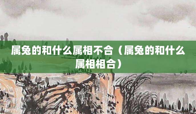 属兔的和什么属相不合(属兔的和什么属相相合)