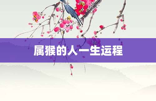 属猴的人一生运程 属猴的人一辈子命运分析