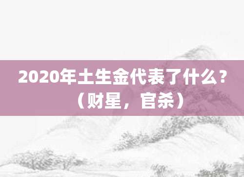 2020年土生金代表了什么?(财星,官杀)