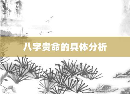 八字贵命的具体分析